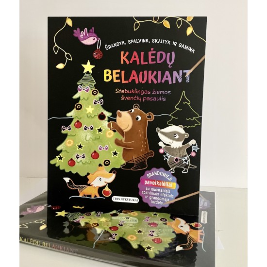 Kalėdų belaukiant. Stebuklingas žiemos švenčių pasaulis ( su defektais)