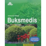 Buksmedis