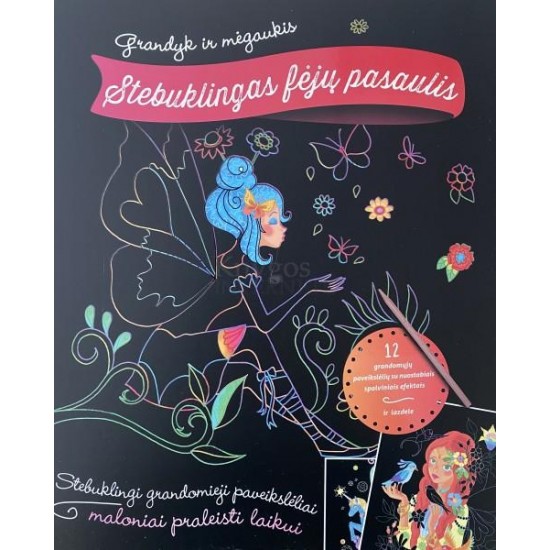 Grandymo knygelė. Stebuklingas fėjų pasaulis Grandymo knygelė. Stebuklingas fėjų pasaulis